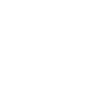 pdrukas